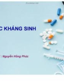 Bài giảng Thuốc kháng sinh - Nguyễn Hồng Phúc