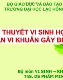 Bài giảng Lý thuyết vi sinh học phần vi khuẩn gây bệnh - ThS. DS Phẩm Thu Minh