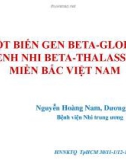 Bài giảng Đột biến gen Beta-globin ở bệnh nhi Beta-thalassemia miền bắc Việt Nam