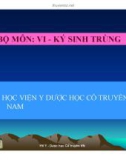 Bài giảng Vi-Kí sinh trùng: Ký sinh trùng sốt rét - Học viện Y dược học cổ truyền Việt Nam