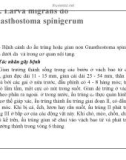 Phần 7 BỆNH KÝ SINH TRÙNG LÂY TỪ ĐỘNG VẬT SANG NGƯỜI