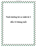 Nuôi dưỡng bé sơ sinh từ 1 đến 12 tháng tuổi