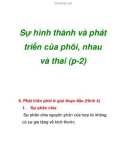 Sự hình thành và phát triển của phôi, nhau và thai (p-2)