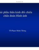 Giải phẫu thần kinh - Đối chiếu hình ảnh