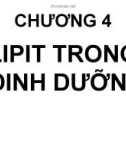 Bài giảng Dinh dưỡng: Chương 4 - GV. Võ Thị Thu Thủy