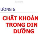 Bài giảng Dinh dưỡng: Chương 6 - GV. Võ Thị Thu Thủy