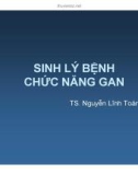 Bài giảng Sinh lý bệnh Chức năng gan - TS. Nguyễn Lĩnh Toàn