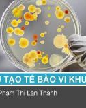 Bài giảng Cấu tạo tế bào vi khuẩn - ThS. Phạm Thị Lan Thanh