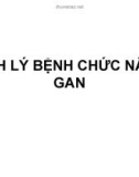 Bài giảng Sinh lý bệnh chức năng gan - La Hồng Ngọc