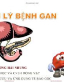 Bài giảng Sinh lý bệnh gan - Th.s.GV Trương Hải Nhung