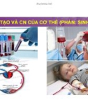 Bài giảng Cấu tạo và chức năng của cơ thể (Phần: Sinh lý học) - Cấu tạo và chức năng của máu