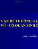 Bài giảng Vấn đề thường gặp ở vú - cơ quan sinh dục - PGS.TS. Ngô Thị Kim Phụng