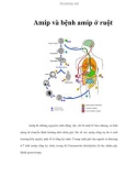 Amip và bệnh amip ở ruột