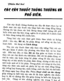 Cây thuốc chữa bệnh thông dụng (Phần 2-Kỳ 1)