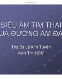 Bài giảng Siêu âm tim thai qua đường âm đạo - ThS. BS. Lê Kim Tuyến