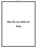 Đậu Hà Lan nhiều tác dụng