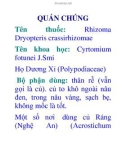 QUÁN CHÚNG