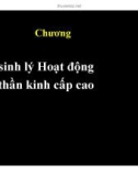 Bài giảng Chương Sinh lý hoạt động thần kinh cấp cao