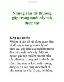 Những vấn đề thường gặp trong nuôi cấy mô thực vật