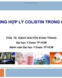 Bài giảng Sử dụng hợp lý Colistin trong điều trị - PGS. TS. Đặng Nguyễn Đoan Trang