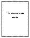 Viêm màng não do não mô cầu