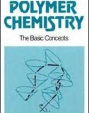 Ebook Polymer chemistry: The basic concepts - Paul C. Hiemenz