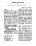 Khảo sát tình hình sử dụng glucocorticoid trên bệnh nhân điều trị ngoại trú tại Bệnh viện Đại học Y Dược Buôn Ma Thuột năm 2022