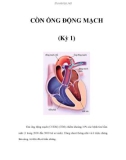 CÒN ỐNG ĐỘNG MẠCH (Kỳ 1)