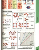 Atlas de poche d immunologie - part 5