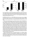 Stem Cells in Endocrinology - part 5