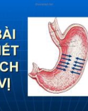 Bài giảng Bài tiết dịch vị