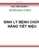 Bài giảng Sinh lý bệnh: Chức năng tiết niệu - HV Quân Y