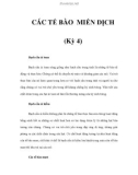 CÁC TẾ BÀO MIỄN DỊCH (Kỳ 4)