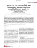 Nghiên cứu khả năng tạo rễ bất định Xáo tam phân (Paramignya trimera) trong điều kiện thủy canh in vivo