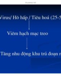 Chẩn đoán bằng hình ảnh : Siêu âm bụng part 6