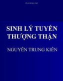 Bài giảng Sinh lý tuyến thượng thận - Nguyễn Trung Kiên