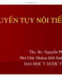 Bài giảng Tuyến tụy nội tiết - ThS. BS. Nguyễn Phúc Hậu