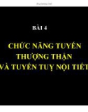 Bài giảng Bài 4: Chức năng tuyến thượng thận và tuyến tụy nội tiết