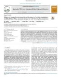 Enhanced photoelectrochemical performance of carbon nanotubesmodified black TiO2 nanotube arrays for self-driven photodetectors