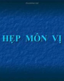 Bài giảng: Hẹp môn vị