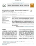 Correlations between structure and photoluminescence properties in N-doped carbon nanoparticles