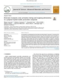 Electronic transport, ionic activation energy and trapping phenomena in a polymer-hybrid halide perovskite composite