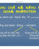 Bài giảng trao đổi chất qua màng tế bào part 3