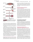 MEDICAL PHYSIOLOGY RHOADES TANNER - PART 3