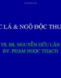 Bài giảng Thuốc lá và ngộ độc thuốc lá – TS. BS. Nguyễn Hữu Lân