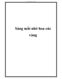 Sáng mắt nhờ hoa cúc vàng