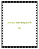 Hoa đại chữa tăng huyết áp