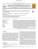 2-Deoxy-D-glucose functionalized zinc oxide nanodrug for kidney cancer treatment