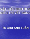 Bài giảng Vật liệu sinh học điều trị vết bỏng