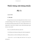 Thuốc kháng sinh kháng khuẩn (Kỳ 1)